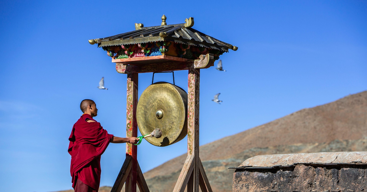 Успокой свои бактерии: как медитация тибетских монахов влияет на психику через желудок?